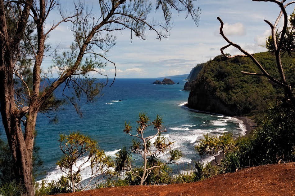 Pololu Valley Beach by Carl Bostek