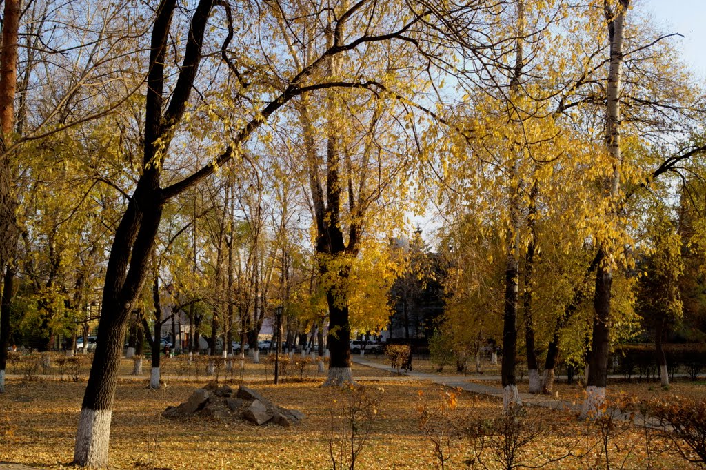 Park in Fall / Парк осенью by ChiefTech