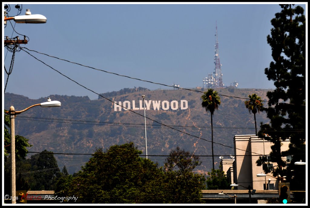 HOLLYWOOD HILL by mario.kaupe