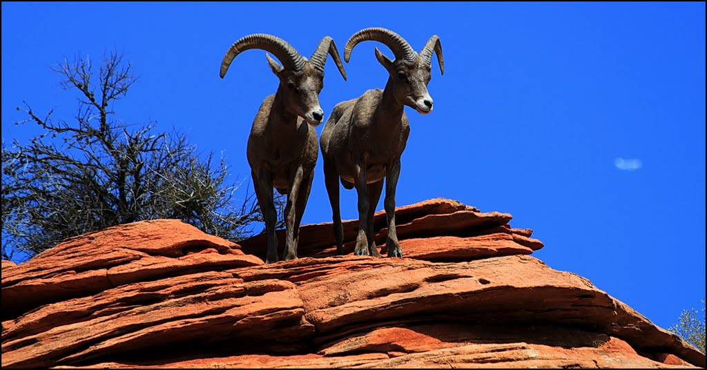 Zion National Park 9.9.2011 ... C by americatramp.the2nd