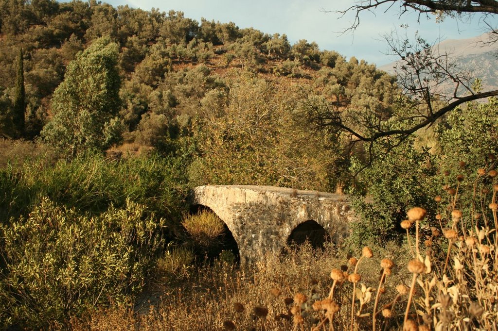 Alte Brücke bei Visári by knirschke