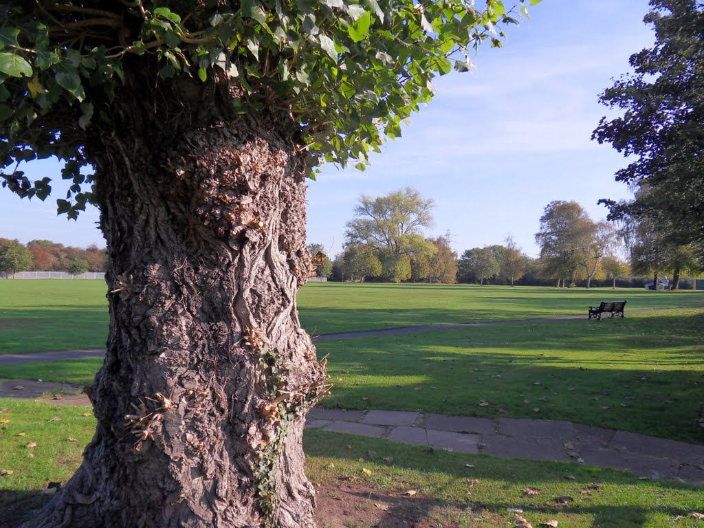 View across Northfields park Blaby. by Bobsky.