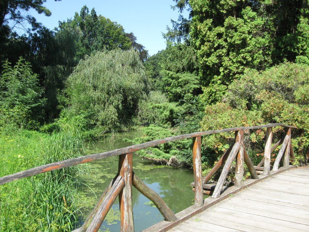 Vácrátót, Hungary by Juraj Bajtai