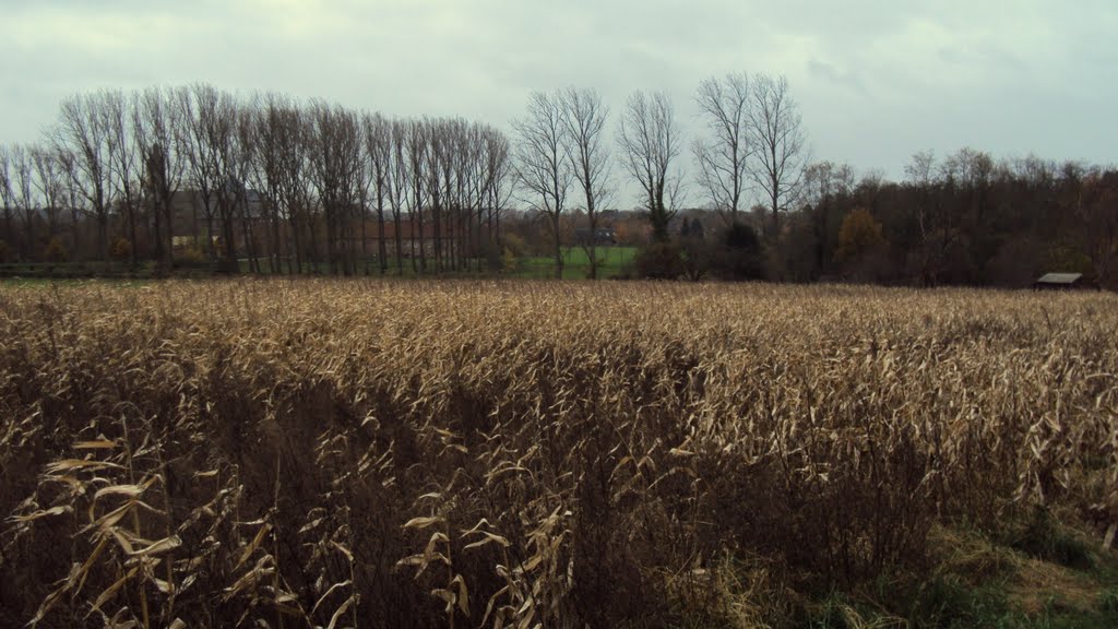 Kesselwandeling (oktober 2010) by Wandelen rond Leuven | Hiking around Leuven (