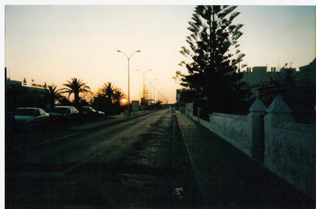 The old boulevard road by Nelson da Rosa