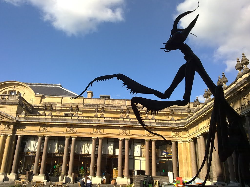 Afrika Museum, Tervuren, Belgie by Klaas Braamskamp