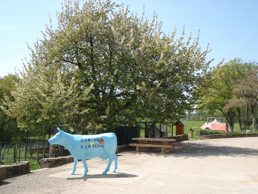 Ile de Vassivière et sa ferme by Sébastien Massy