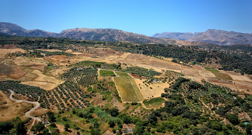 Ronda by Bianchi Mauro