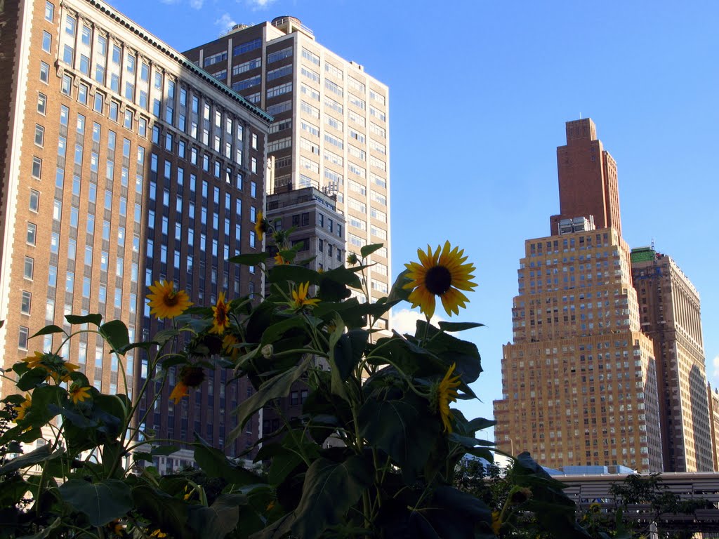 Battery Park City by Waheed Ashraf