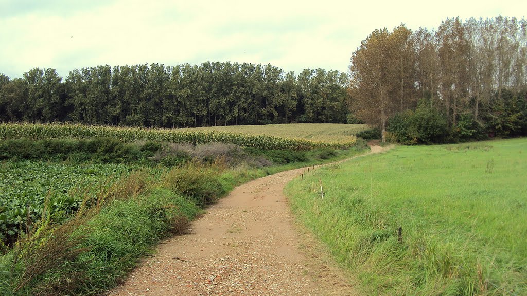 Herentwandeling (oktober 2010) by Wandelen rond Leuven | Hiking around Leuven (