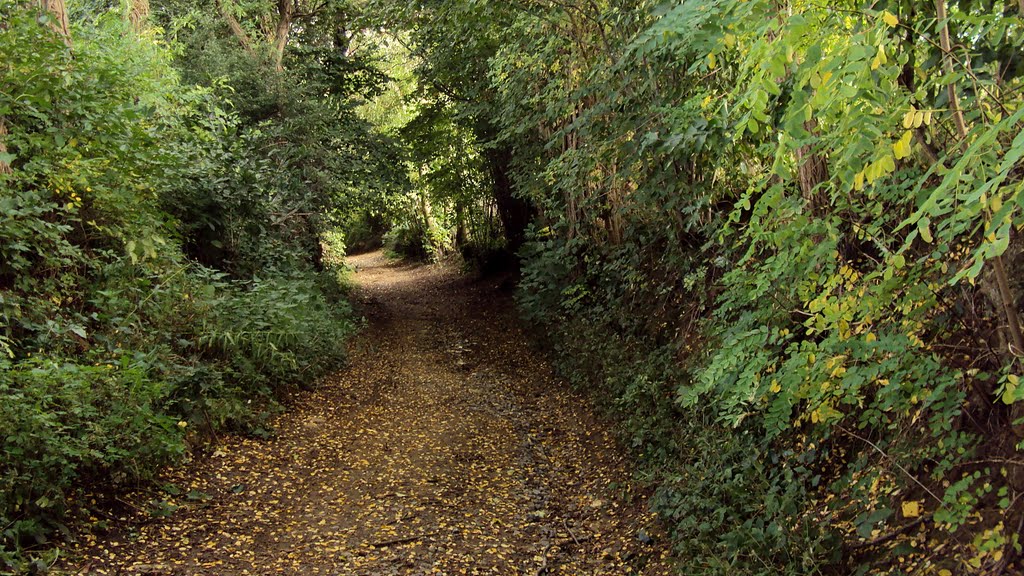 Herentwandeling (oktober 2010) by Wandelen rond Leuven…