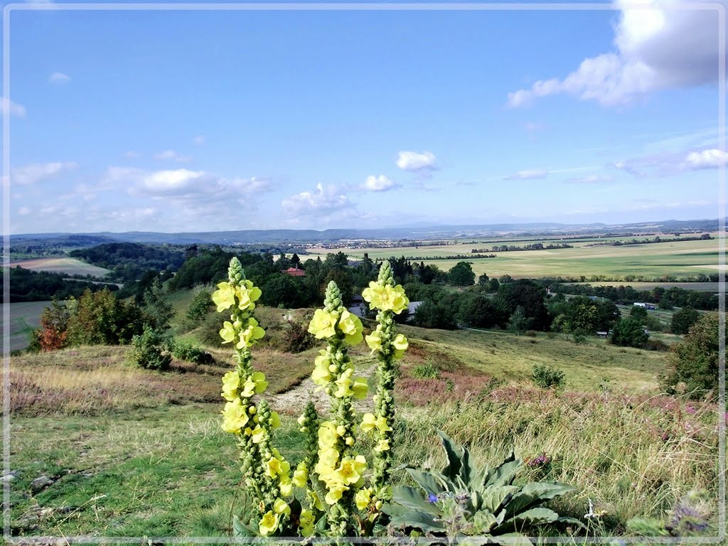 Schöne Aussicht am Gegenstein by bergkristall Harz