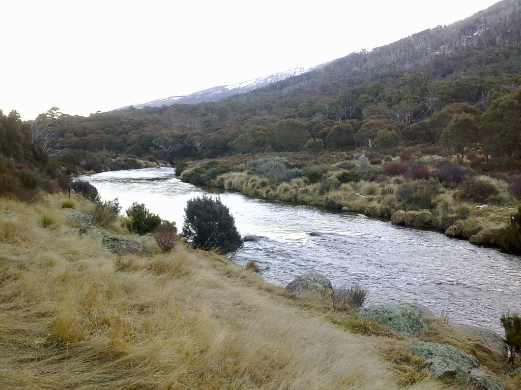 Thredbo River by Chopio Siu