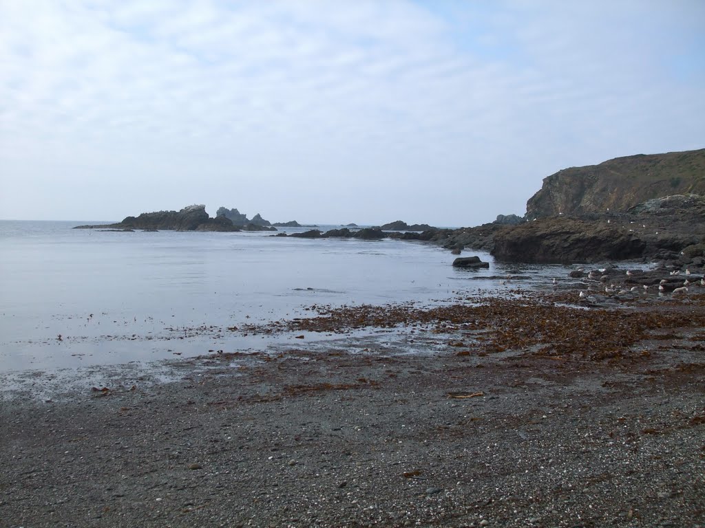 Polpeor Cove, The Lizard, Cornwall by Ruth Craine