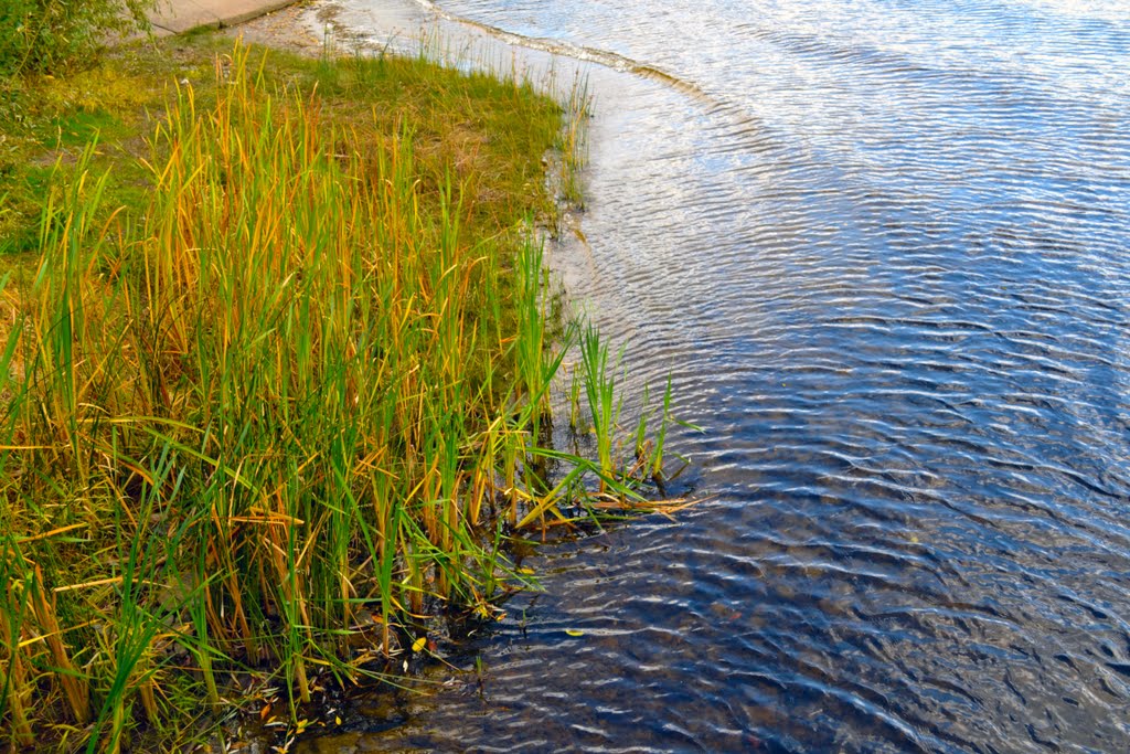 Quiet waters of Hidropark. Autumn 2011 by Embas Bras (VLAD)