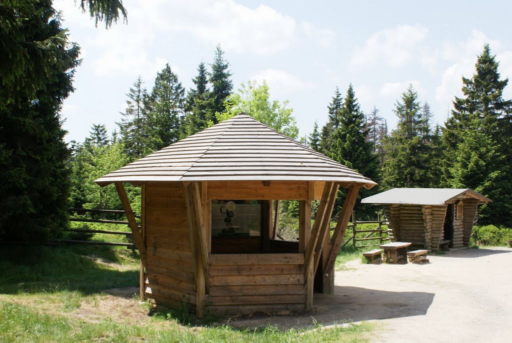 Schutzhütten am Eckersprung (Harz) by Atheistin