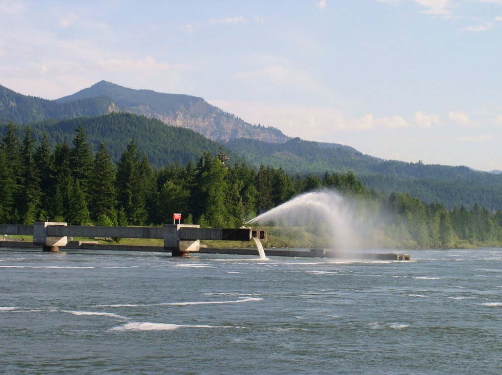 Fish facility, Bonneville Dam. The water jets keep away preditory birds. by Jim Nieland