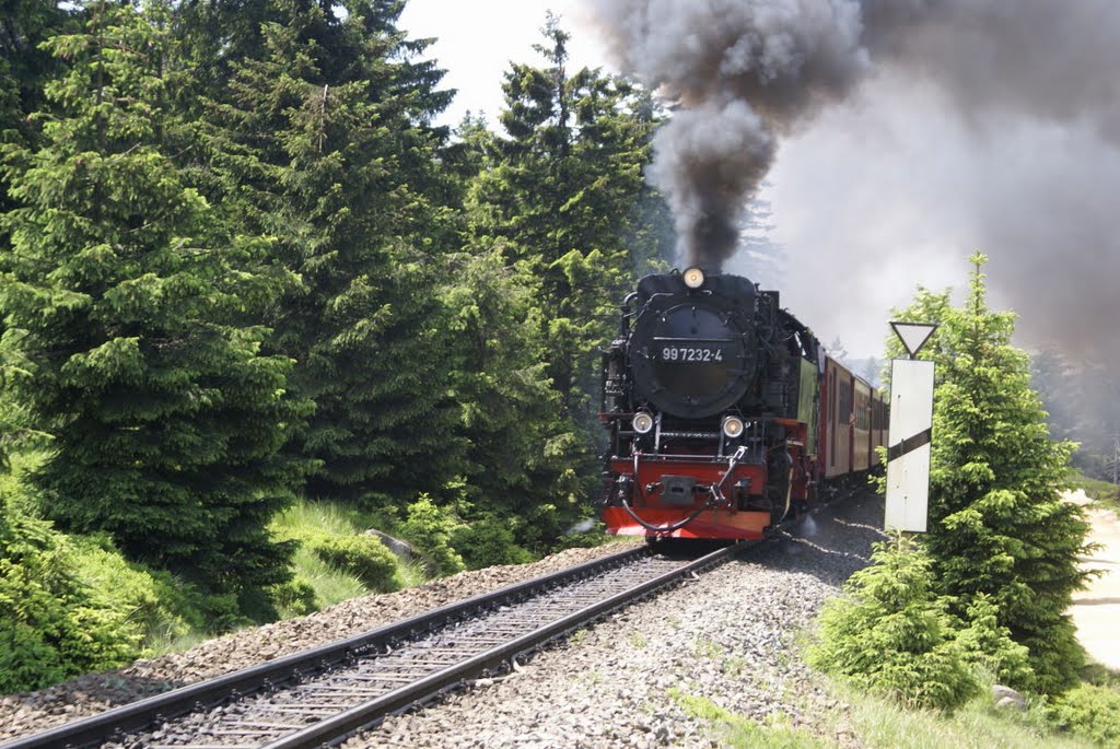 Brockenbahn auf dem Weg zum Gipfel (Harz) by Atheistin