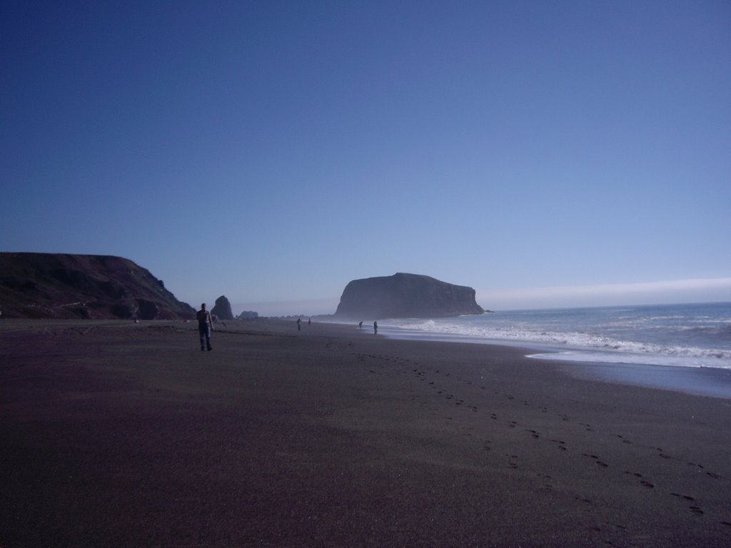 Goat Rock Beach, south view by SD Greg