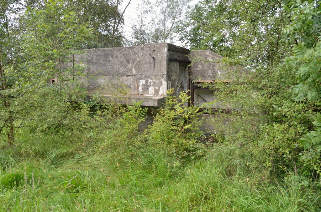 Observation stand of secundary battery by Dick Wools