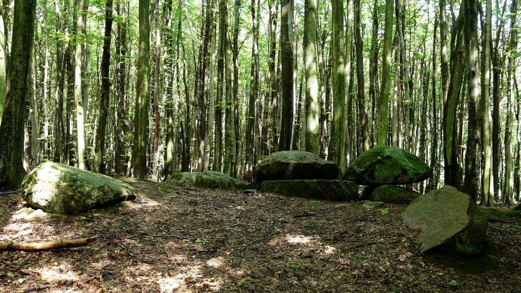 Germany_Western Pomerania_Ruegen Island_Sassnitz_megalithic dolmen Waldhalle 1_P1250509.JPG by George Charleston