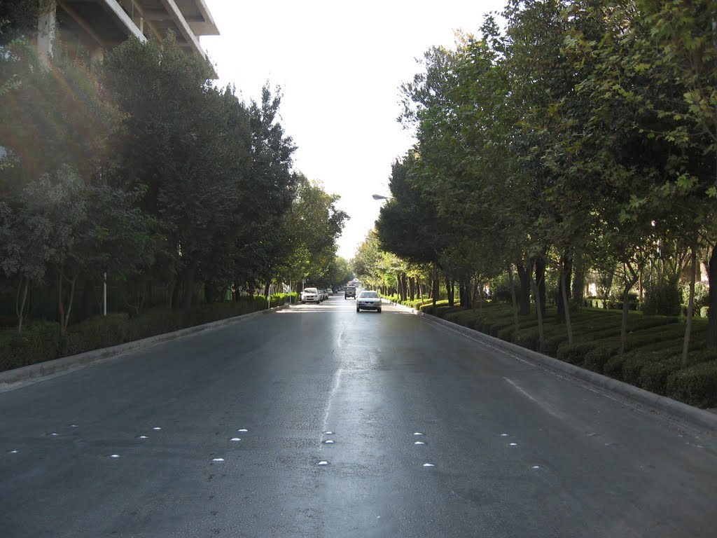 Chahar Bagh Avenue Top - Esfahan خيابان چهارباغ (بالا)اصفهان by mohsenbe