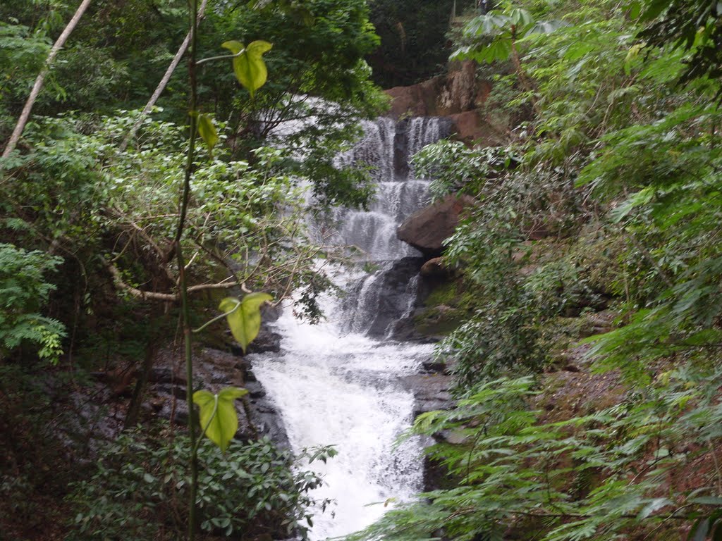 Cachoeira do Parque Arthur Tomas by Sofia kawka do Prado