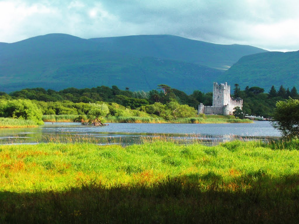 Castle Ross by Peter Varga