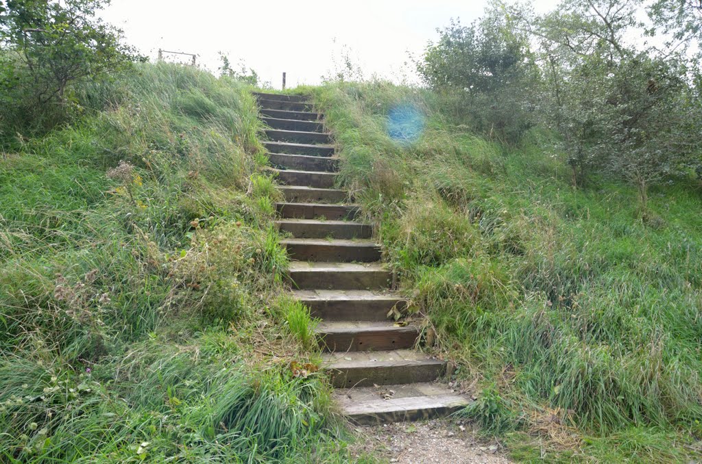 Stairs to the roof by Dick Wools