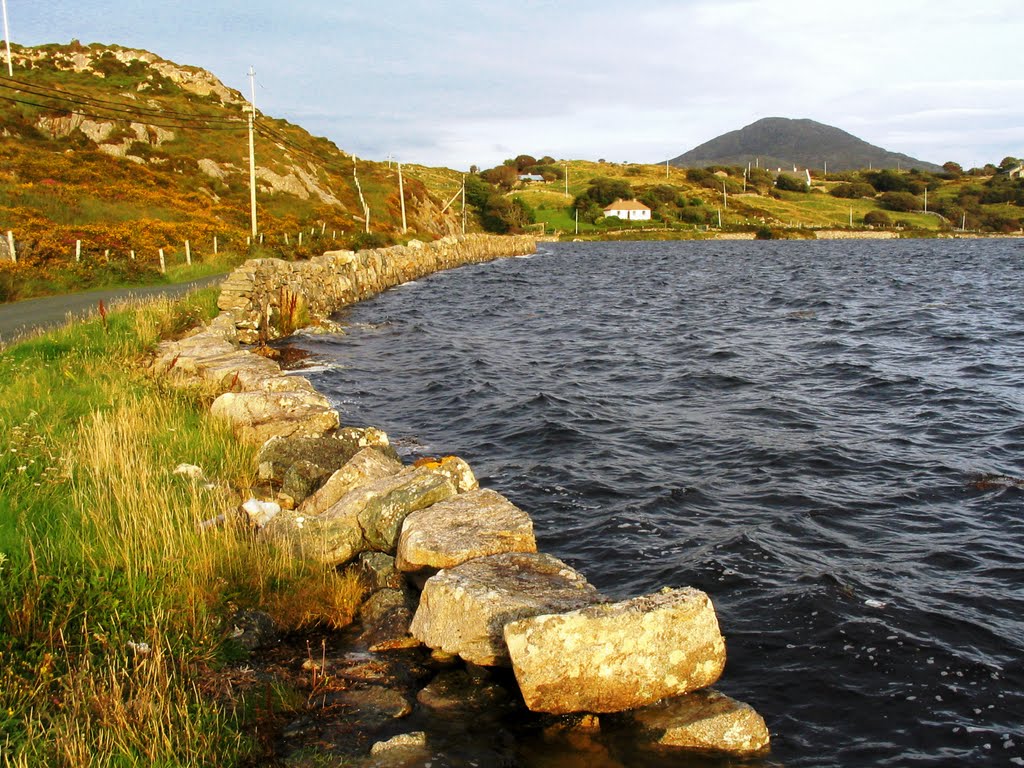 Somewhere in Galway by Peter Varga