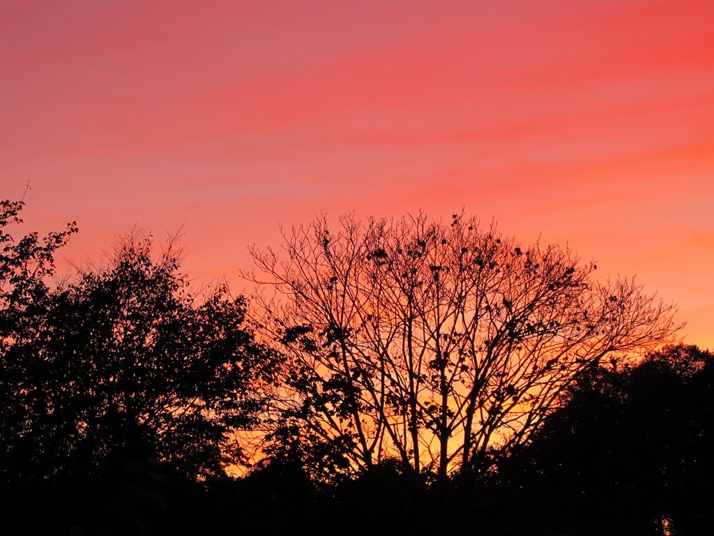 Roter Abendhimmel by Charly G.