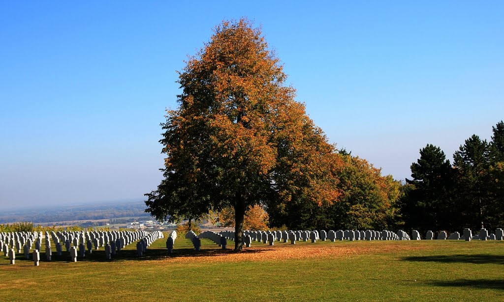 Soldatenfriedhof bei Bergheim by Frank Richter