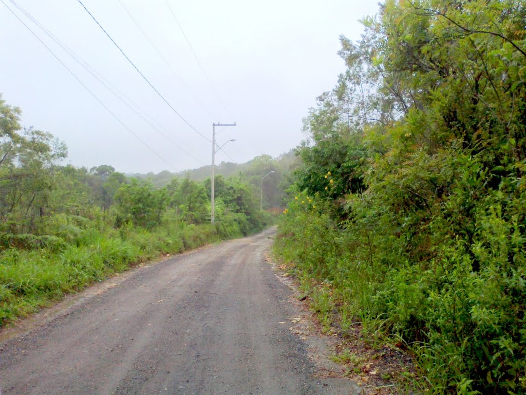 Augusta, Curitiba - State of Paraná, Brazil by urbs magna