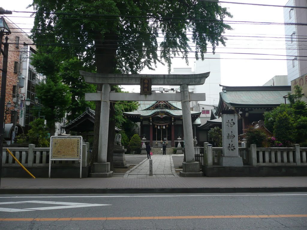 Kashiwa shrine（柏神社） by konigan