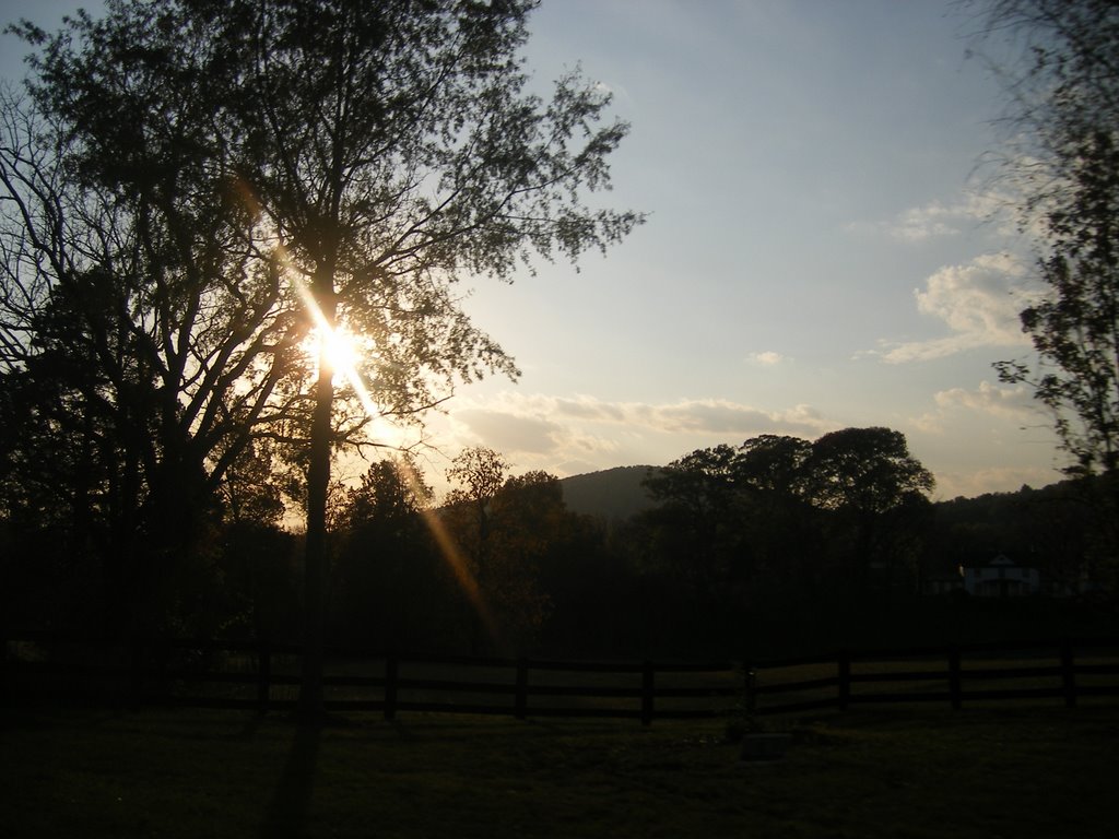 Apple orchards, Richmond, Va by Jewels