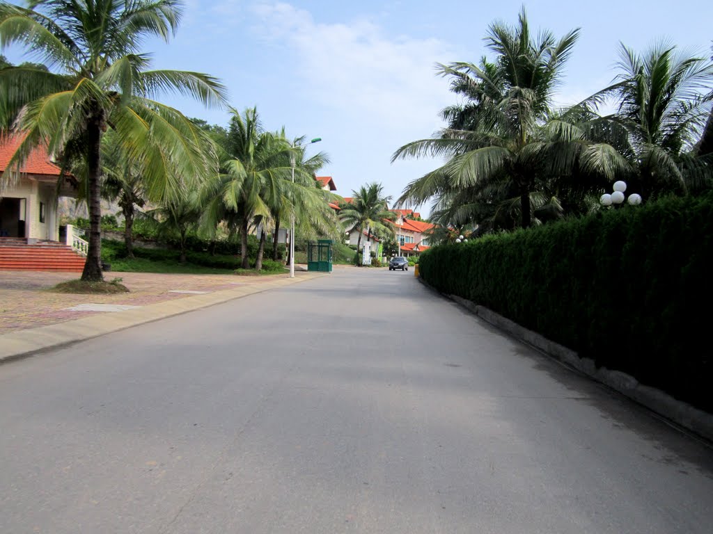 Tuần Châu, Hạ Long, Quảng Ninh, Việt Nam by Lương Cao Dũng