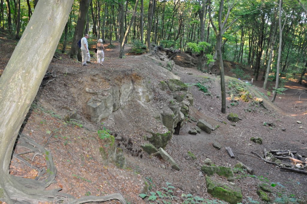 Gehrdener Berg - Burgberg -Quarry - Steinbruch by Michael Witkowski