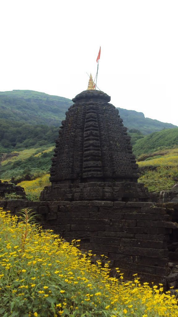 Temple beauty surrounded by flowers by Vilas Khote