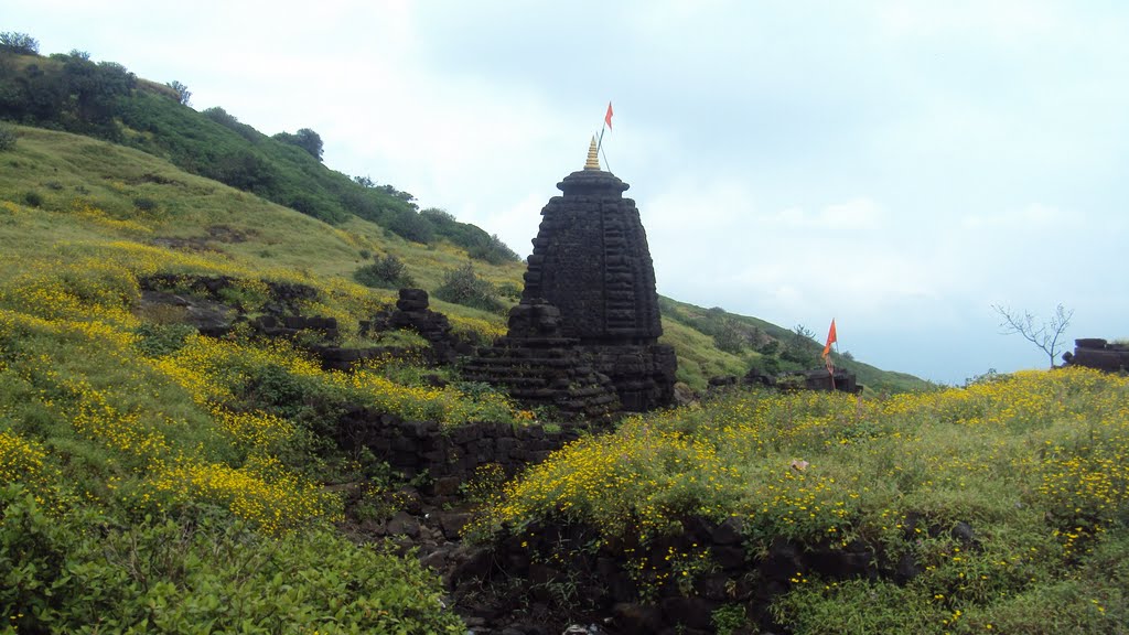 Harishchanreshwar Temple by Vilas Khote