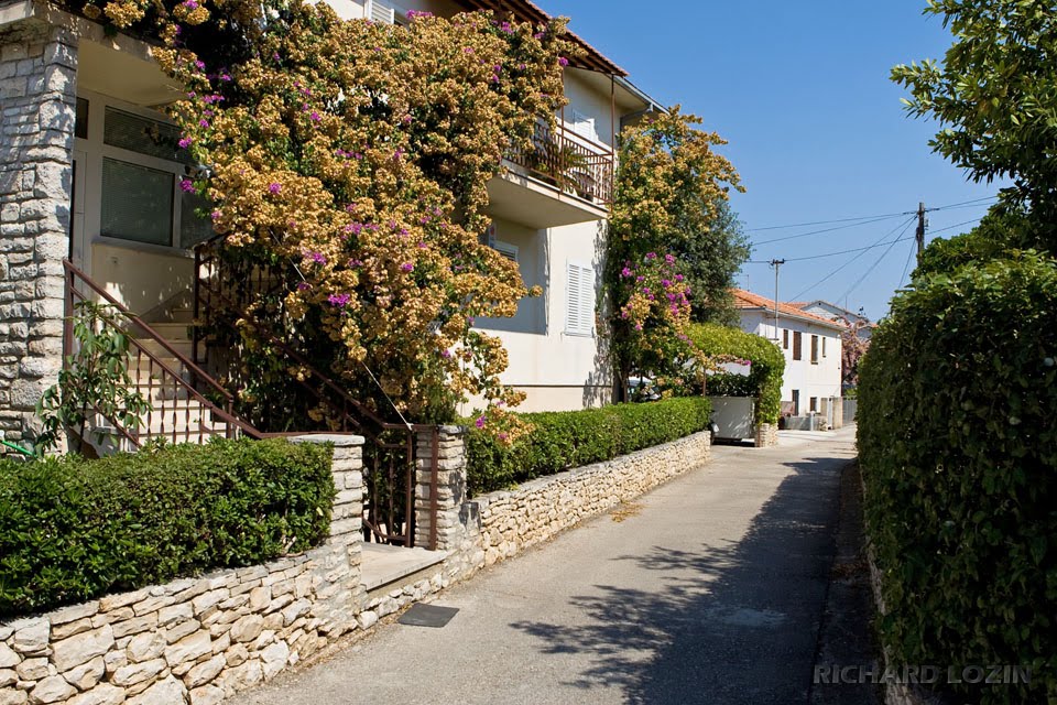 Supetar, Brač island, Croatia / Супетар, остров Брач, Хорватия by Richard Lozin