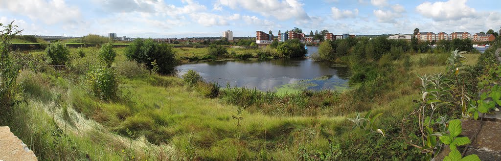 Panorama looking towards Jim Driscoll Way by Guybm