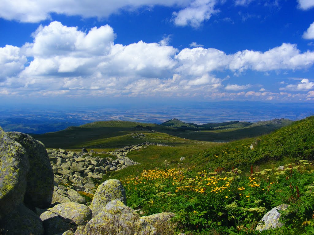 Vitosha mountain by Morkovica (D.Grigoro…