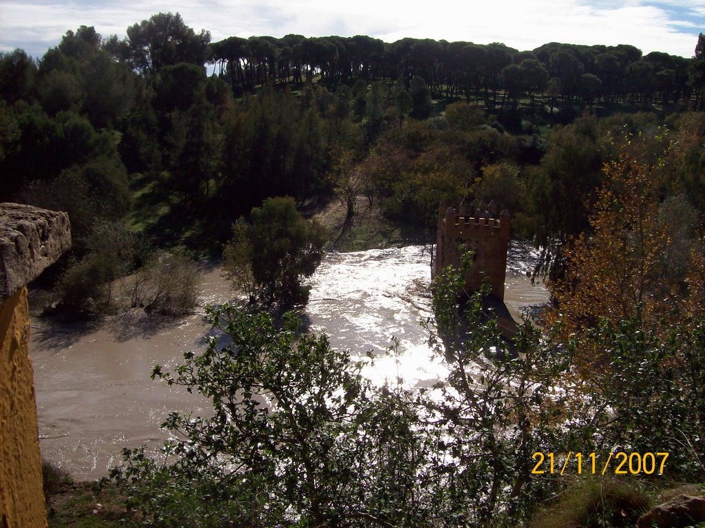 Agua en el Algarrobo by Descansatore