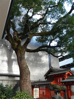 水鏡神社 by a05089dn