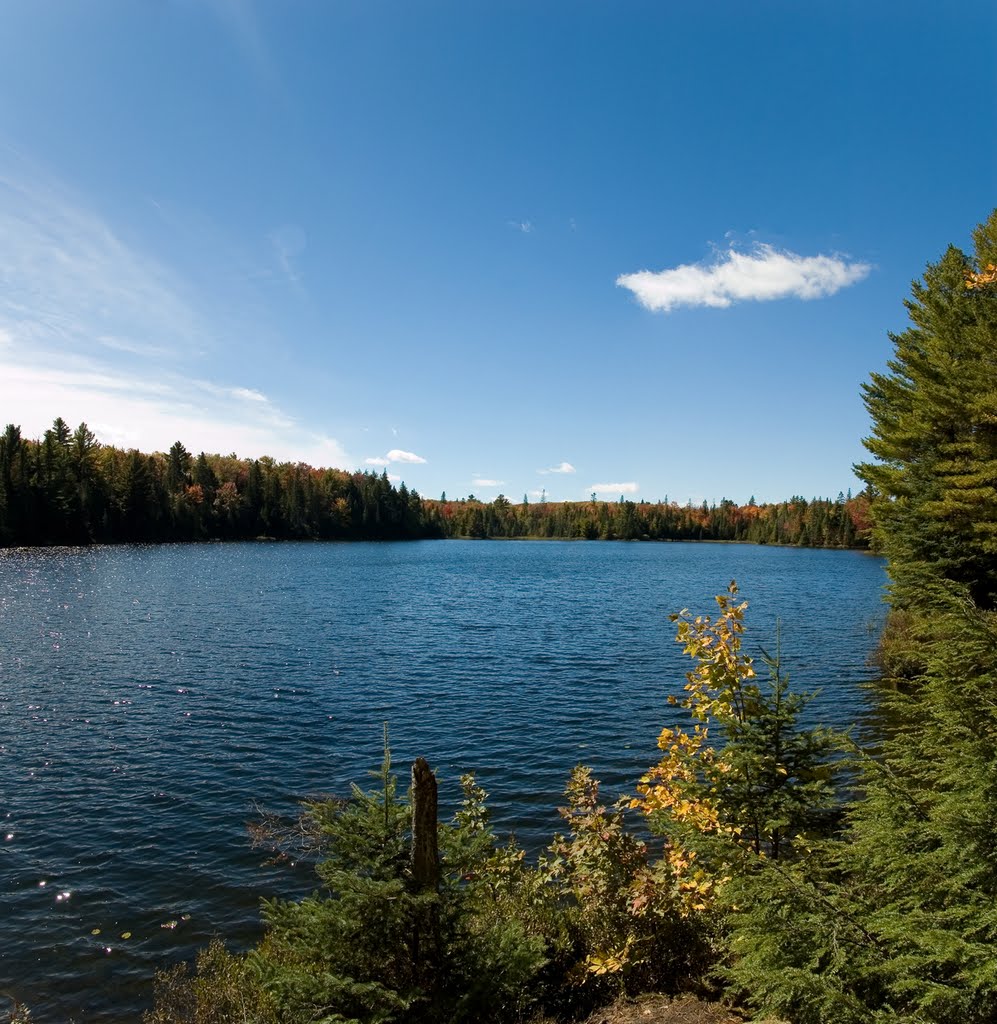 Peck Lake Trail, Algonquin Provincial Park, Highway 60, Whitney, Ontario (Panorama enlarge please; Info on Page 1) by Traveling-Crow