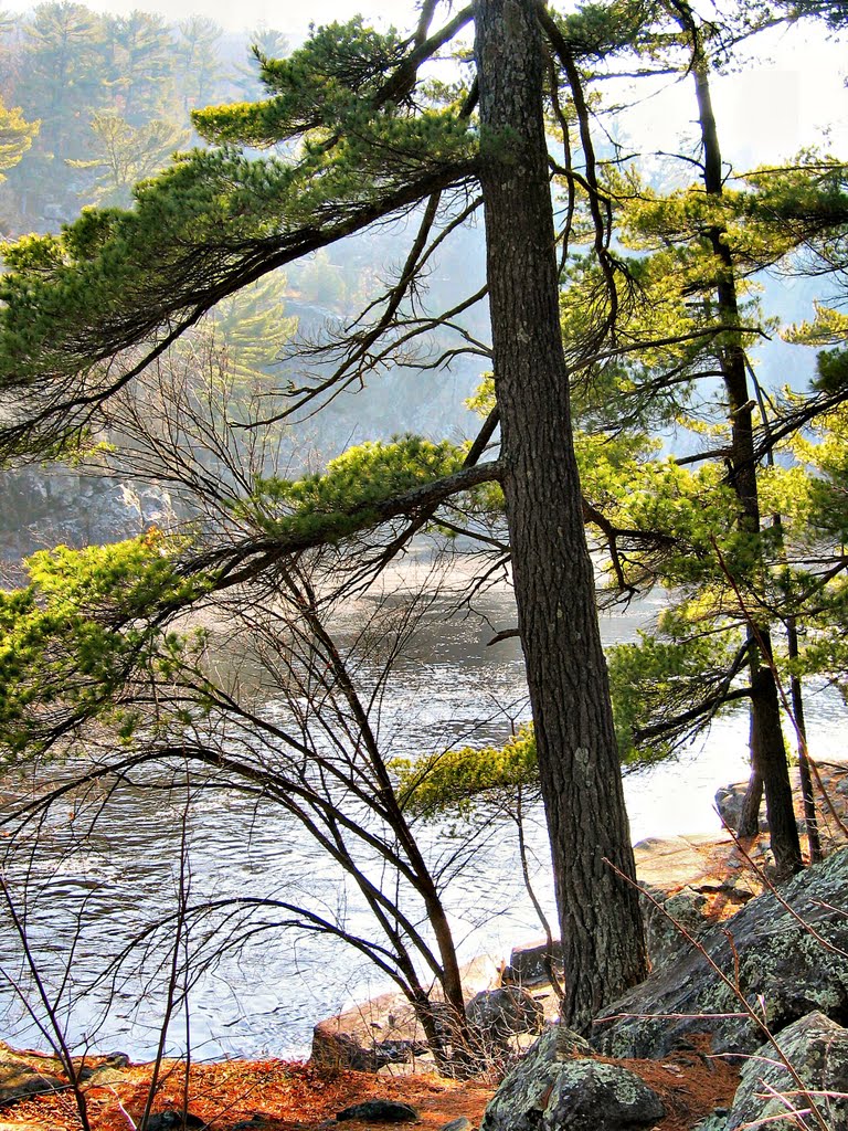 Interstate State Park, MN by Truman Clute