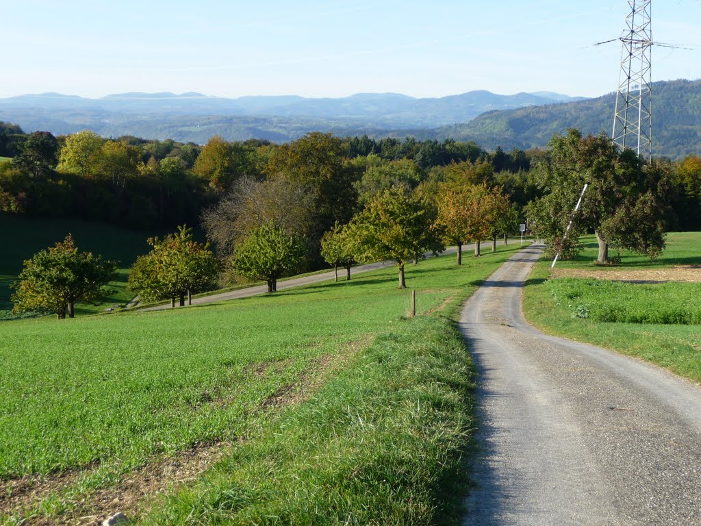 Blick Richtung Schwarzwald by bienenritter