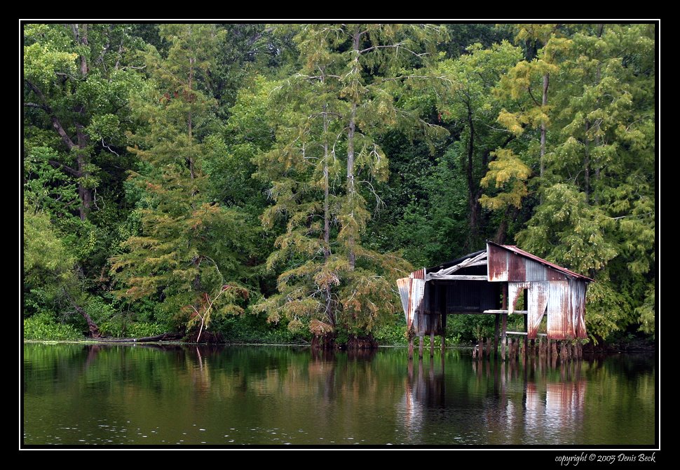 Boat House in Cypress trees near Cross Lake by Denis Beck