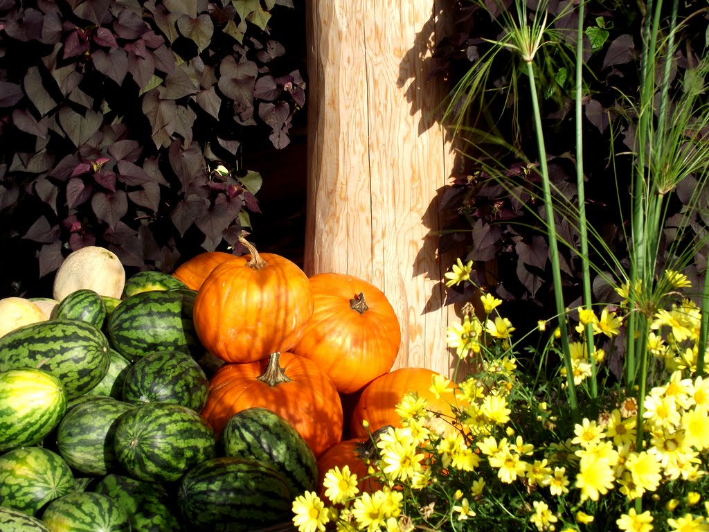 Thanksgiving at the Log Barn by Jerry Frank