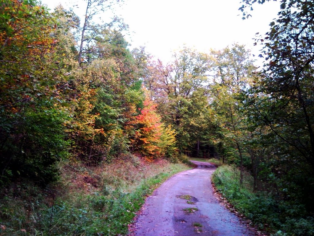 Weg zum Försterplatz by Jörg Fischer